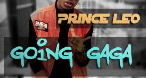 Prince Leo - Going Gaga