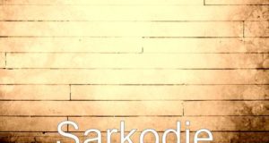 Sarkodie - Ya'll Already Know