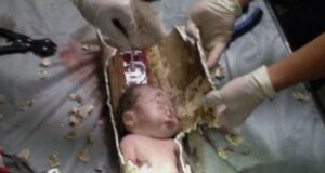 Baby boy flushed down toilet in China