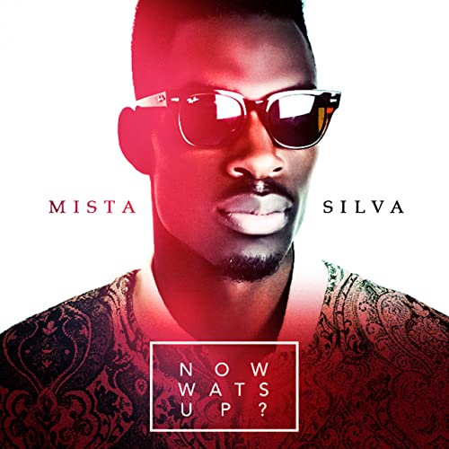 Mista Silva - Now wats Up