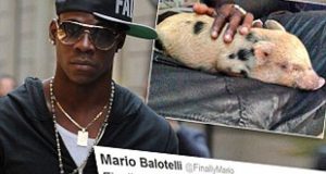 Mario Balotelli gets a pet pig