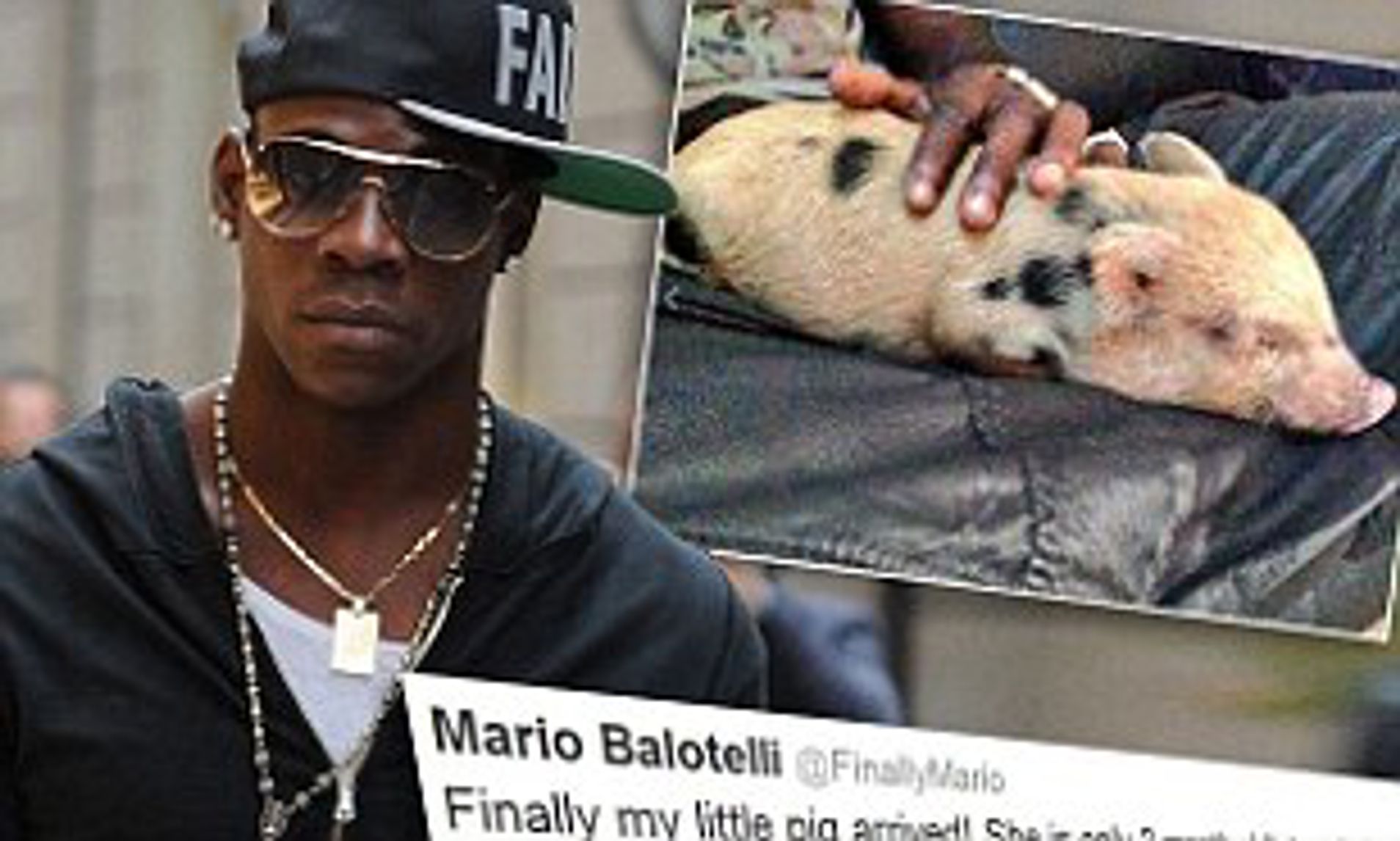 Mario Balotelli gets a pet pig