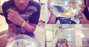 D'Prince and his gold fish