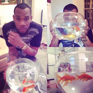 D'Prince and his gold fish