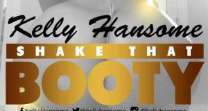 Kelly Hansome - Shake That Booty