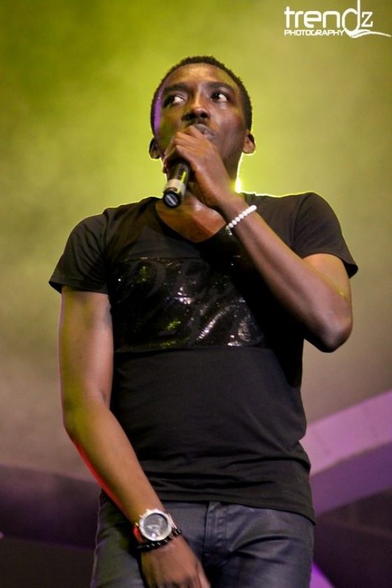 Bovi - Harp Rhythm Unplugged concert