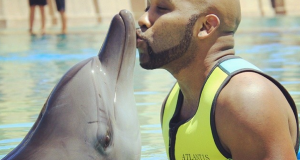 Banky W and dolphin