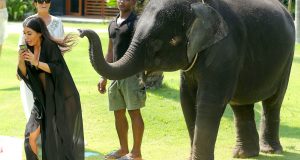 Kim Kardashian attacked by elephant while taking a selfie