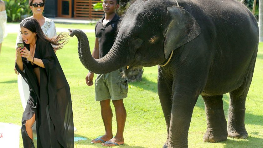 Kim Kardashian attacked by elephant while taking a selfie