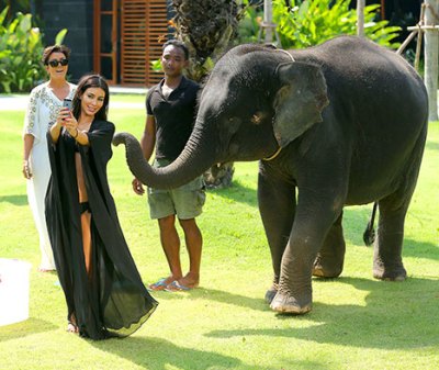 Kim Kardashian attacked by elephant