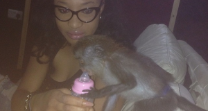 Tonto feeding her baby monkey