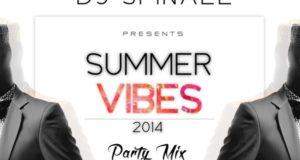 DJ Spinall - 2014 SUMMER VIBES Party Mix
