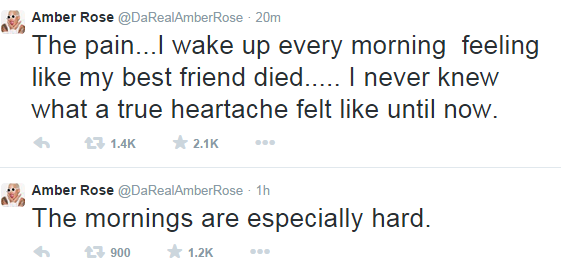 I feel like my best friend died - Amber Rose speaks