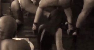 Floyd Mayweather shows 10 butt naked ladies twerking for him NaijaVibe