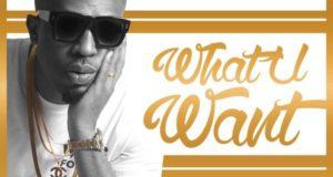 Naeto C - What You Want ft BOJ & Ajebutter22 [AuDio]