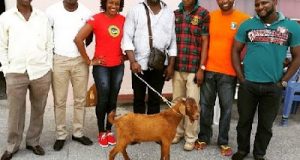 Kate Henshaw receives live goat as Christmas gift