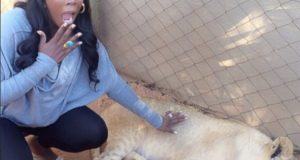 Tiwa Savage pampering a lion in SA