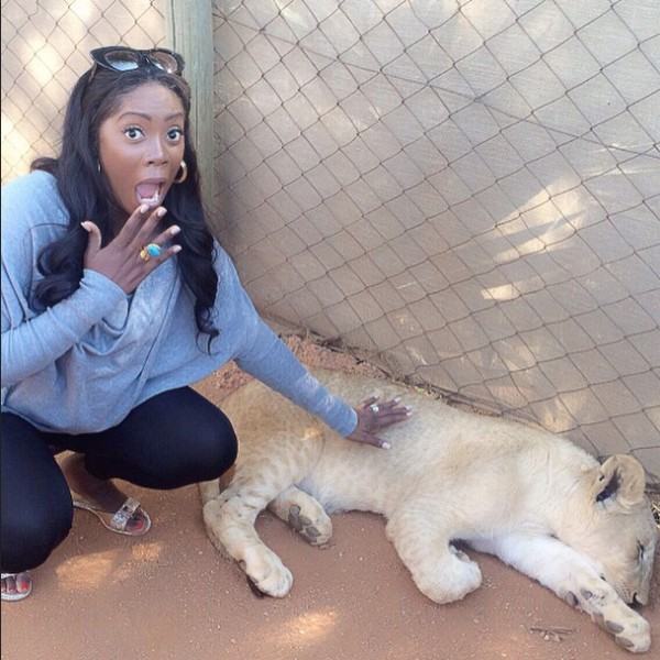 Tiwa Savage pampering a lion in SA