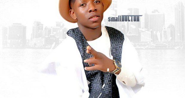 NaijaVibe Music Download | Small Doctor – Mosquito Killer [ViDeo]