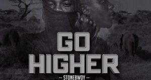 StoneBwoy - Go Higher