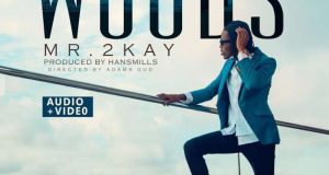 Mr 2Kay - Woods