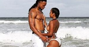 Flavour and hot model