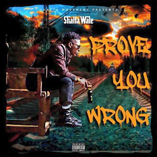 Shatta Wale - Prove You Wrong [ViDeo]