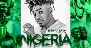 David Grey - Nigeria