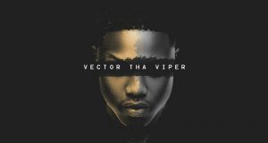 Vector - What's That