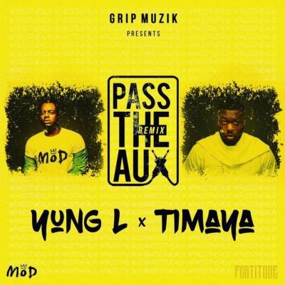 Yung L - Pass The Aux (Remix) ft Timaya [ViDeo]