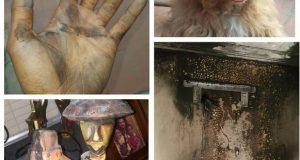 Banky W’s hand, dog and burnt items