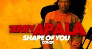 Terry Apala - Shape of You (Cover) [AuDio]