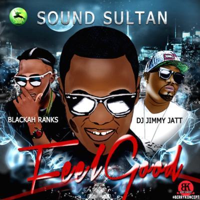 Sound Sultan - Feel Good