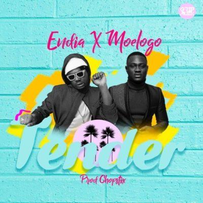 Endia - Tender ft Moelogo [AuDio]