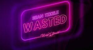 Sean Tizzle - Wasted [AuDio]