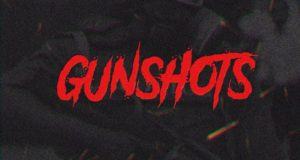 Vector - GunShots [AuDio]