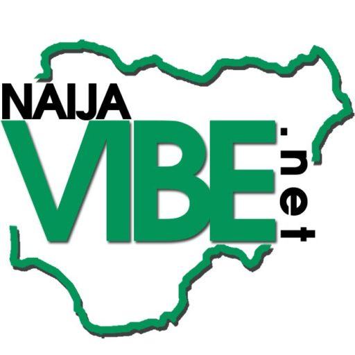 cropped New NaijaVibe Logo