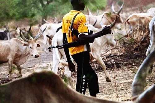 Host Communities Are Currently Making Life Hard For Herders In Nigeria - Miyetti Allah 1 Herdsmen