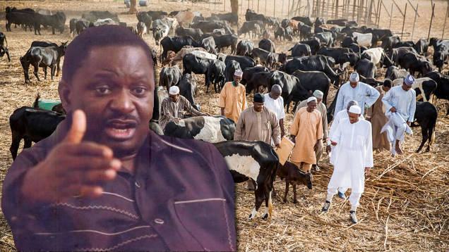 Femi Adesina's irresponsible statement on cattle colony