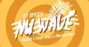 DJ Spicey, Yung6ix, Terry Apala & Maleeq Souls – Nu Wave [AuDio]