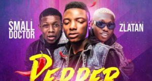 Small Terry, Zlatan & Small Doctor – Pepper [AuDio]