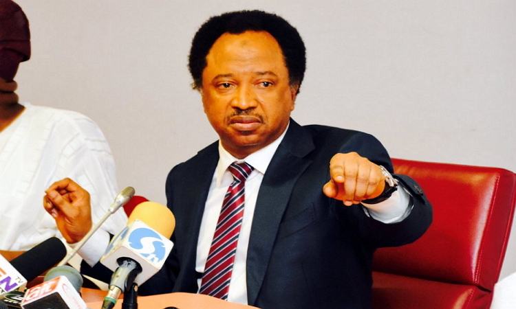 Shehu Sani