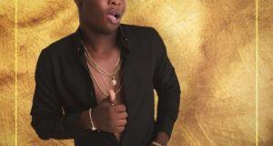 Wale Turner - Faya Faya [AuDio]