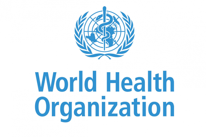 Nigeria Has Responded Well To Yellow Fever Outbreak Amidst Coronavirus Pandemic - WHO 1 World Health Organization