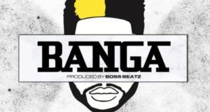DJ ECool – Banga [AuDio]