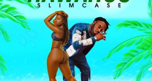 Slimcase – Hawahoo