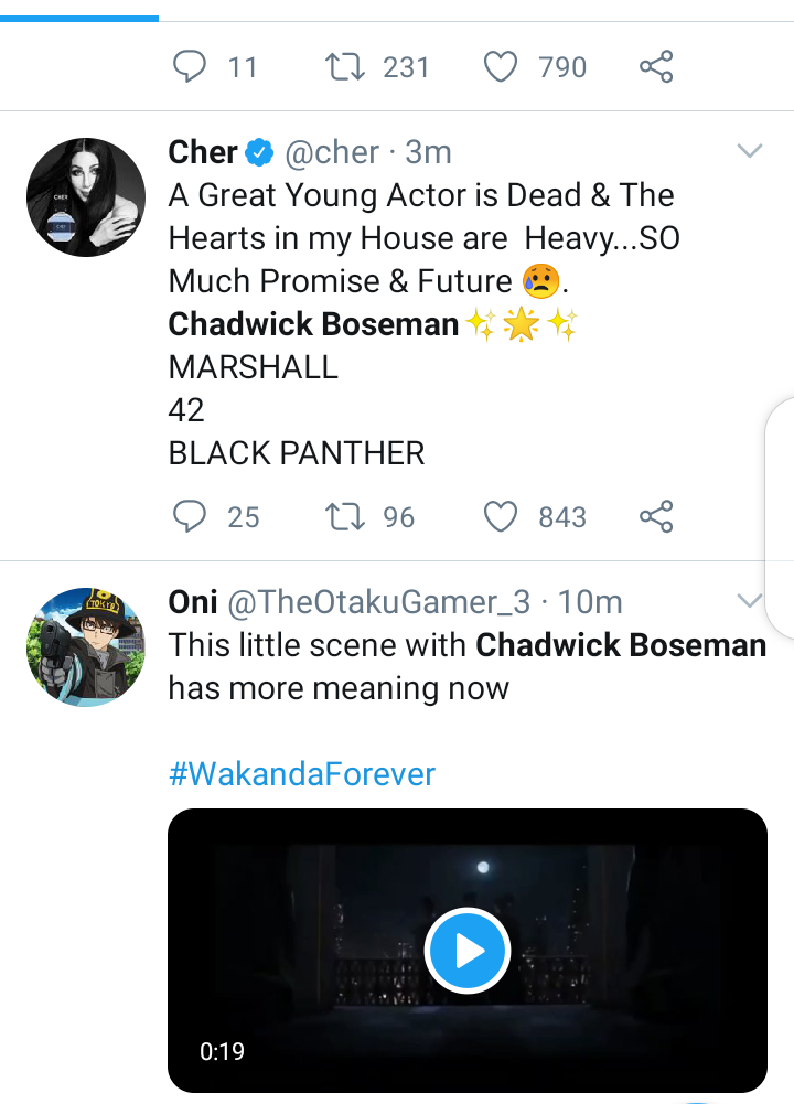 Chadwick Boseman Had A Promising Future - Cher 3 Chadwick Boseman