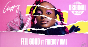 Cuppy – Feel Good ft Fireboy DML
