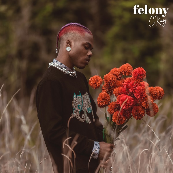 CKay – Felony [ViDeo]
