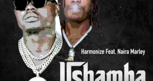 Harmonize – Ushamba (Remix) ft Naira Marley